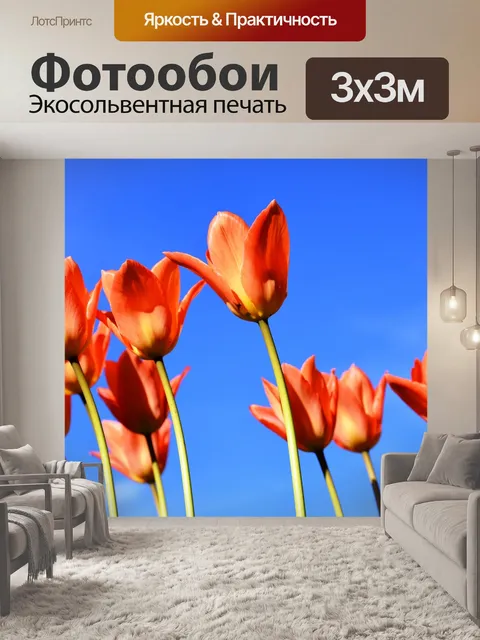 Фотообои Тюльпаны