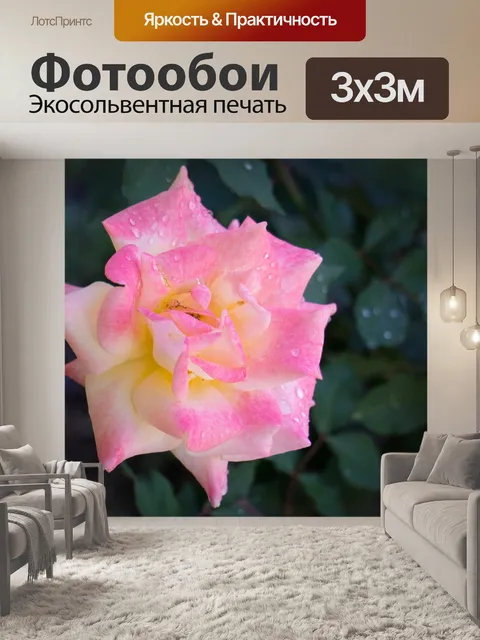 Фотообои Розовый Желтый розарий
