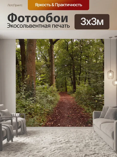 Фотообои Лесная дорога деревья путь пейзаж