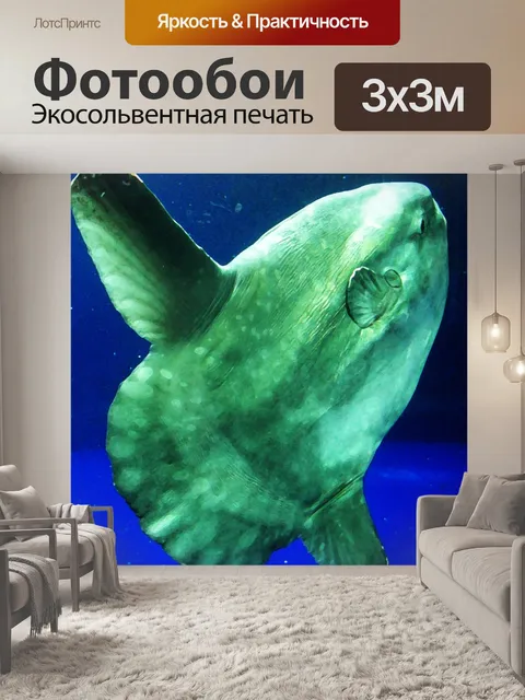 Фотообои Океан солнечника (Мола Мола)