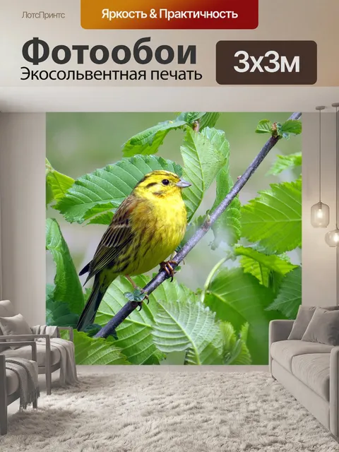 Фотообои Птица