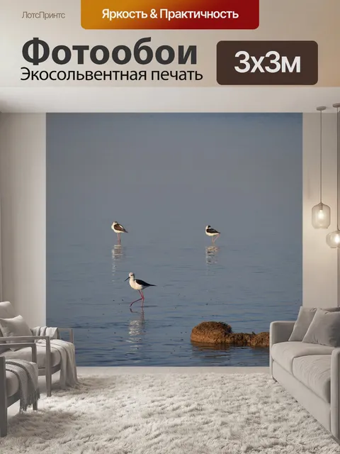 Фотообои Природа