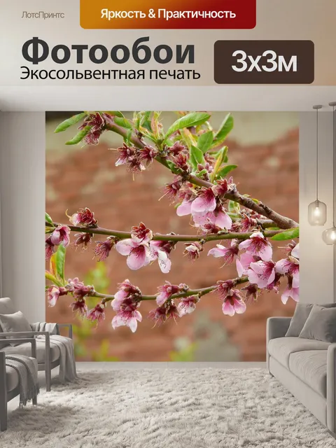 Фотообои Персик