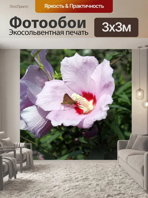 Фотообои Роза шарона