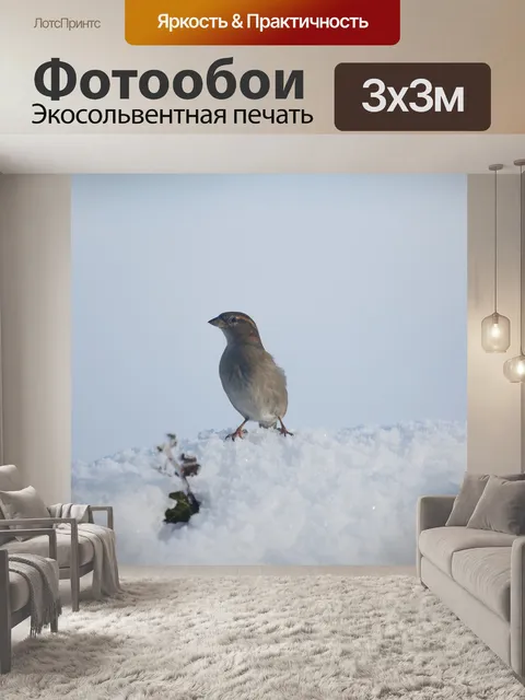 Фотообои Птица