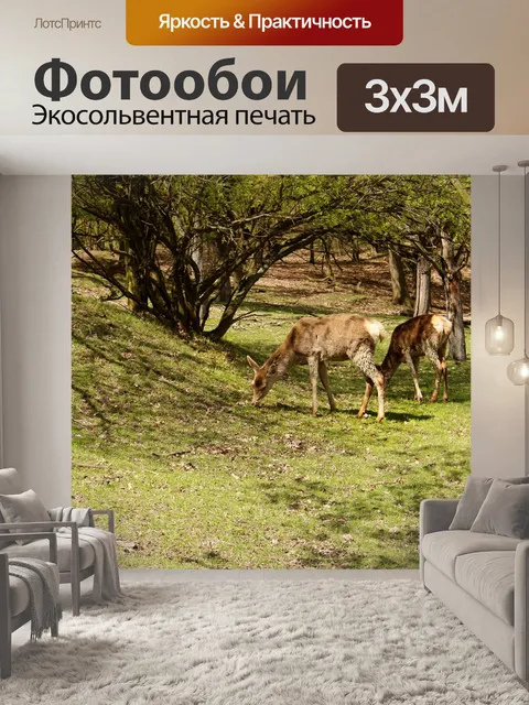 Фотообои Животное