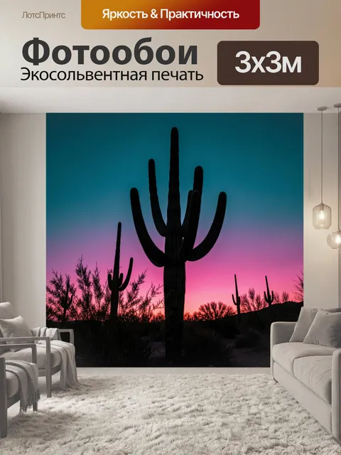 Фотообои Силуэт кактуса на закате