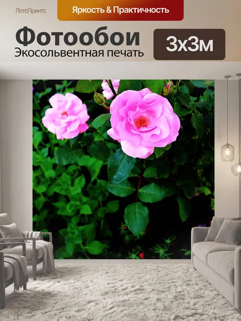 Фотообои Розы