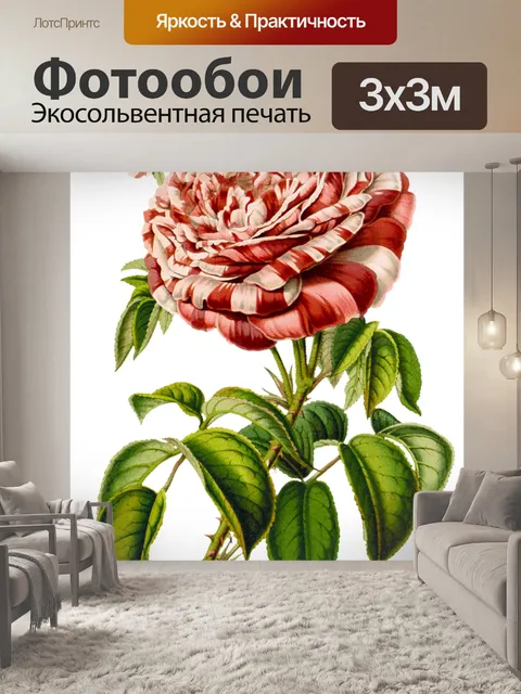 Фотообои Роза цветок цвести винтаж