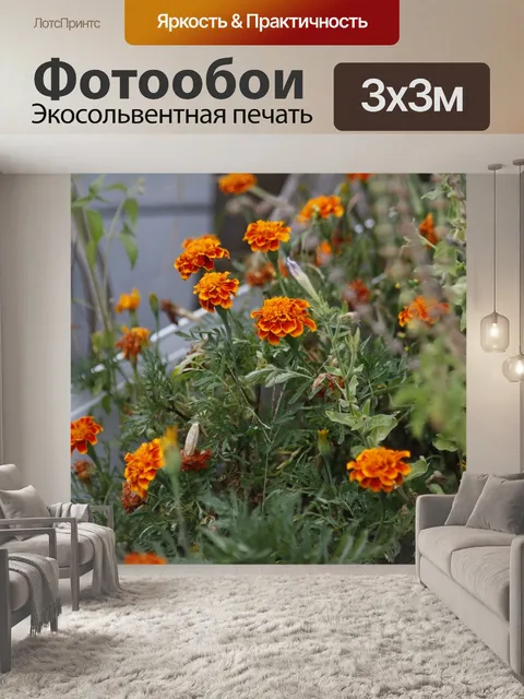 Фотообои Пейзаж