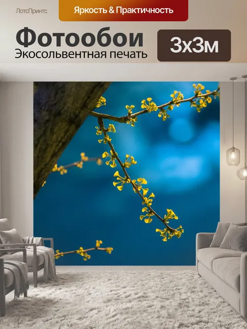 Фотообои Ночь