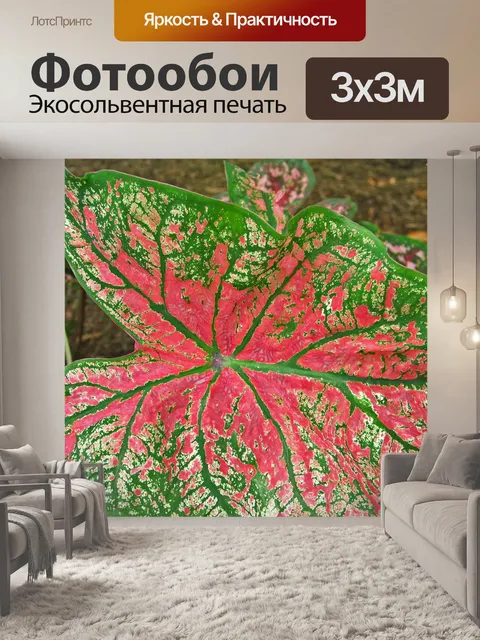 Фотообои Листья
