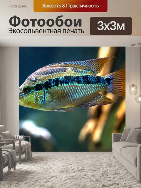 Фотообои Рыбы
