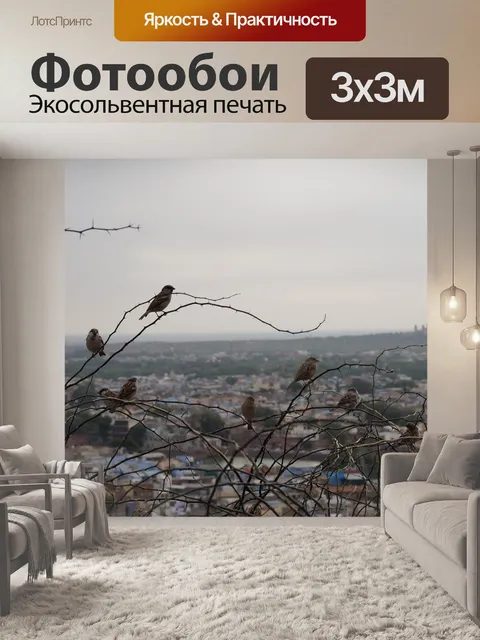 Фотообои Индия