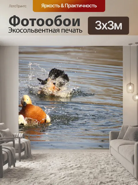 Фотообои Огарь