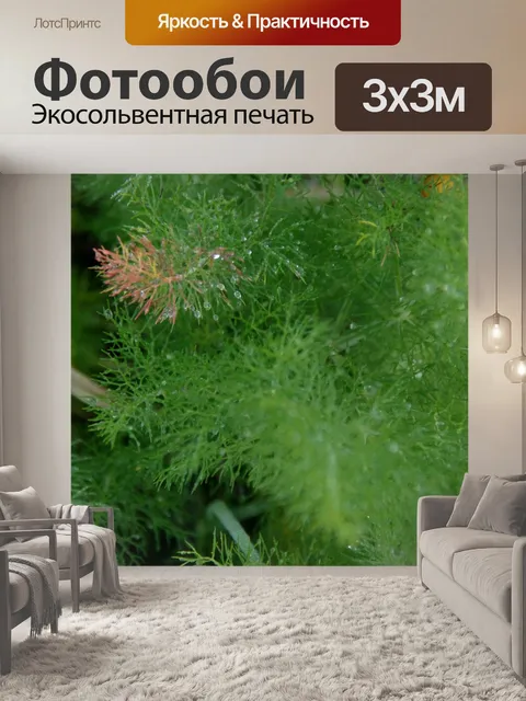 Фотообои Мягкие листья фенхеля с каплями росы
