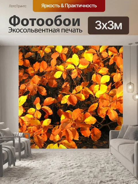 Фотообои Листья