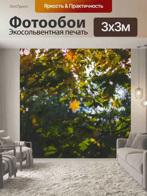 Фотообои Осенние листья