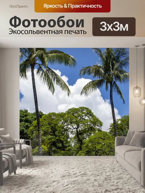 Фотообои Пальмовые деревья