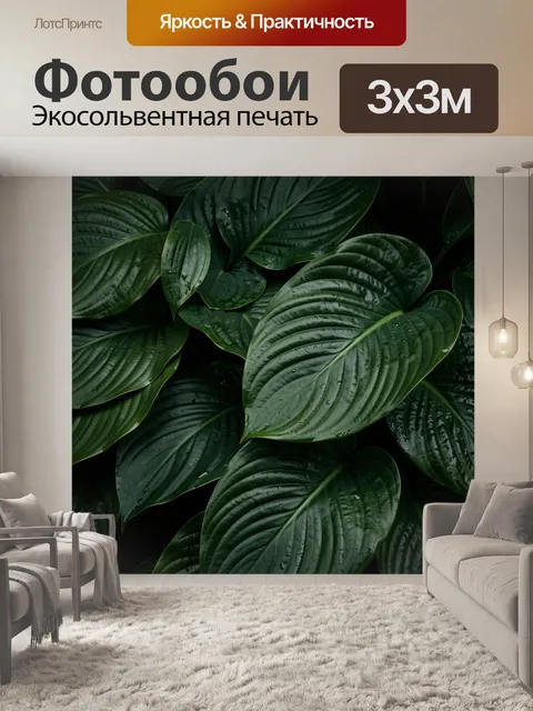 Фотообои Тропические листья с каплями воды
