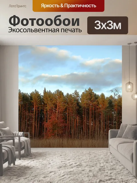 Фотообои Закат
