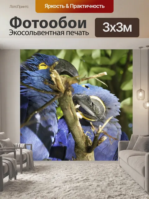 Фотообои Птицы