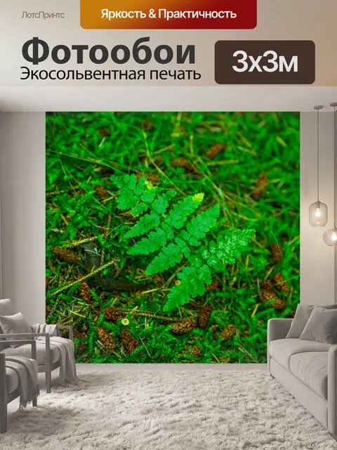 Фотообои Листья папоротника