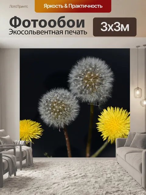 Фотообои Одуванчики