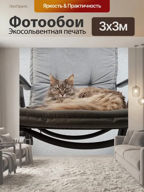 Фотообои Мейн кун
