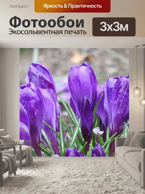 Фотообои Цветы