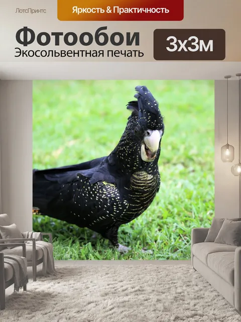 Фотообои Трава