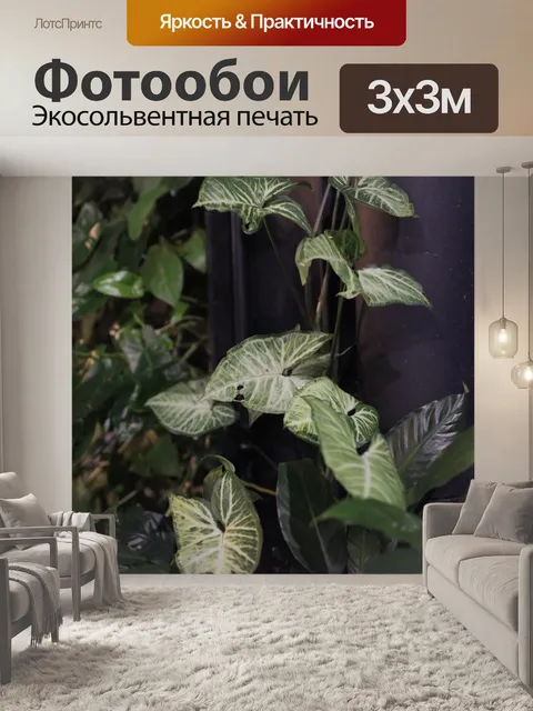 Фотообои Бетонный горшок