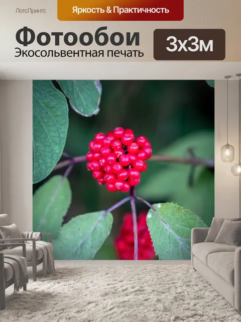 Фотообои Ягода