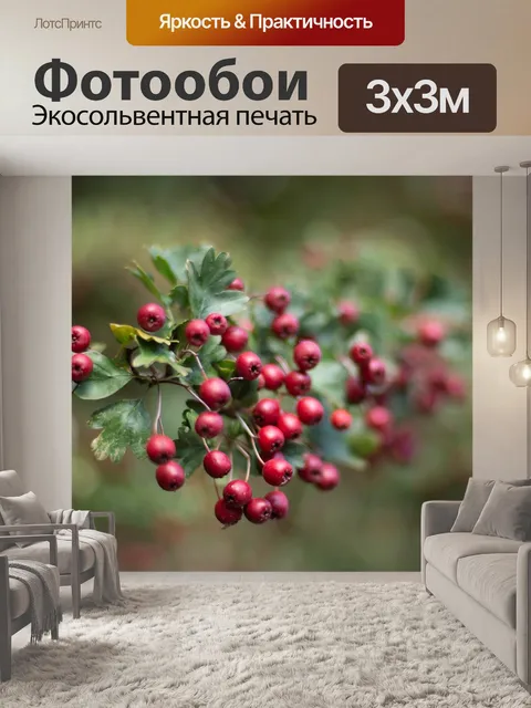 Фотообои Город
