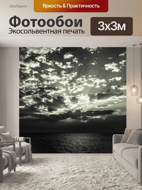 Фотообои Черный и белый