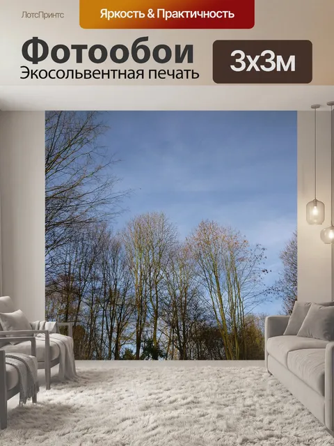 Фотообои Деревья