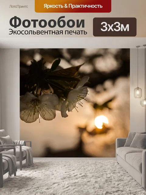 Фотообои Цветок