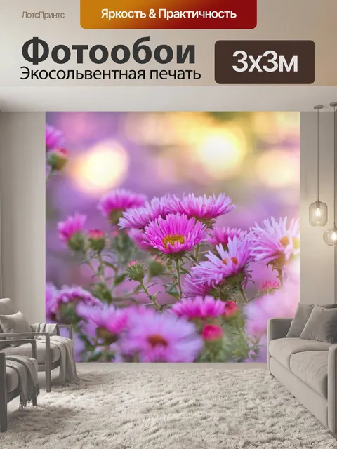 Фотообои Цветы астры распускаются розовыми