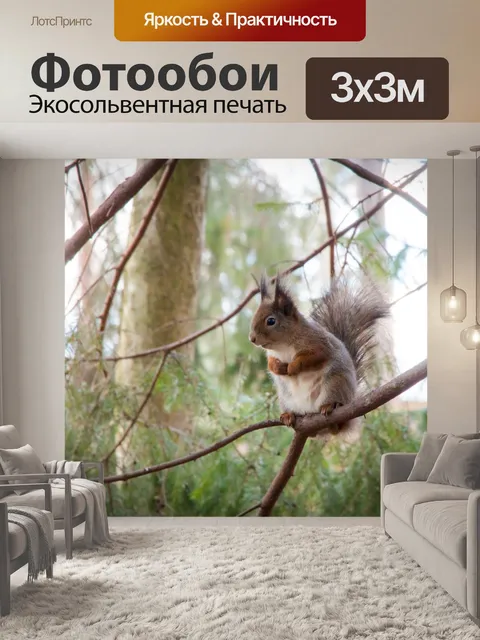Фотообои Белка