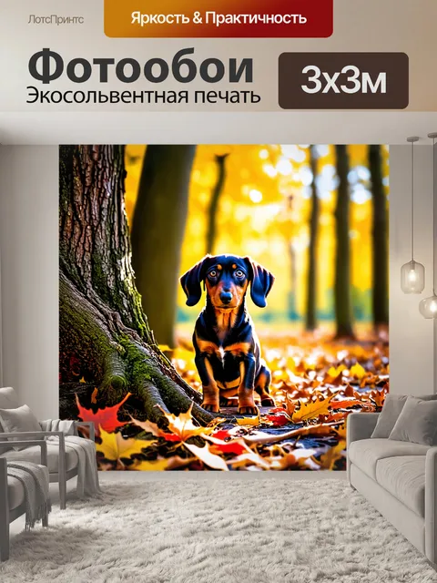 Фотообои на фоне осеннего леса щенок дакса-дабл исследует корни большого дерева