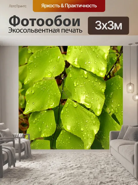 Фотообои Листья с росой