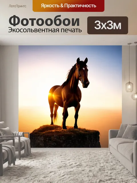 Фотообои лошадь, стоящая на высоком утесе с лучами заката