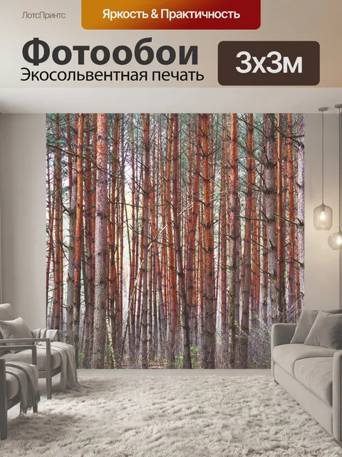 Фотообои Сосновый лес