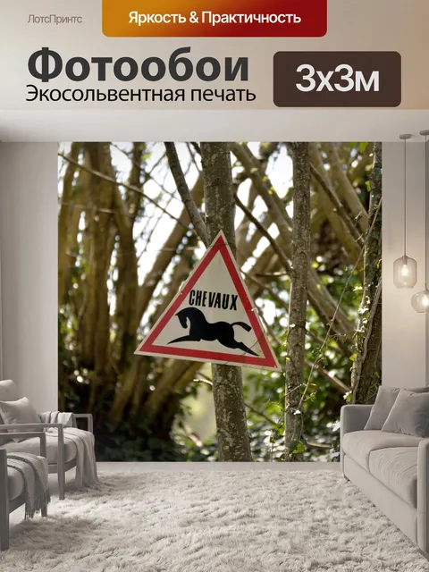 Фотообои Знак прохода лошадей
