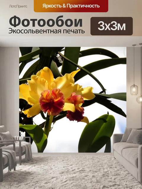 Фотообои Цветок