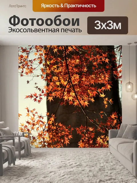 Фотообои Клен