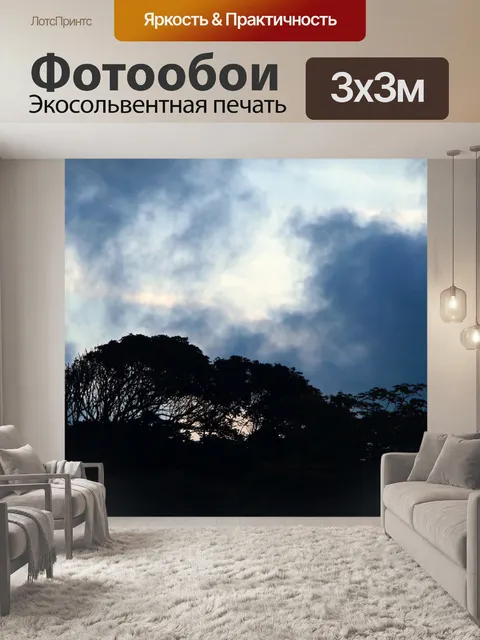 Фотообои силуэты деревьев на фоне мрачного неба