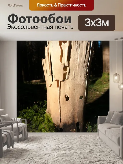 Фотообои Древесина