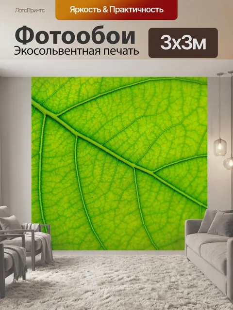 Фотообои Лист