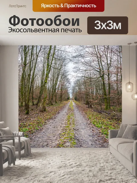 Фотообои Лес